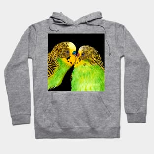 Budgie love Hoodie